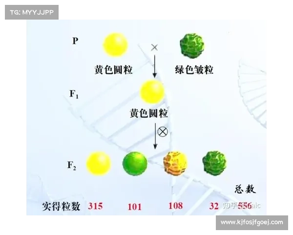 门德斯理论在现代遗传学中的应用与发展:从孟德尔遗传定律到基因编辑技术的突破 门德斯理论在现代遗传学中的应用与发展:从孟德尔遗传定律到基因编辑技术的突破